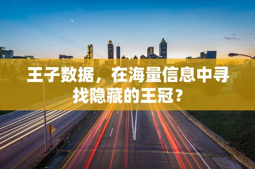 王子数据，在海量信息中寻找隐藏的王冠？