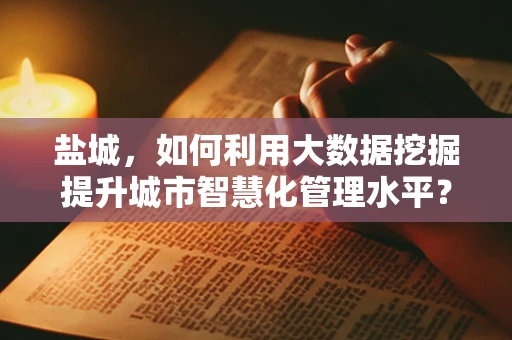 盐城，如何利用大数据挖掘提升城市智慧化管理水平？