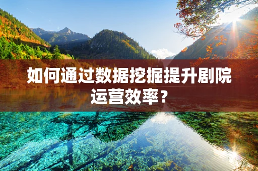 如何通过数据挖掘提升剧院运营效率？