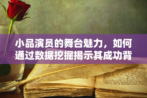 小品演员的舞台魅力，如何通过数据挖掘揭示其成功背后的秘密？
