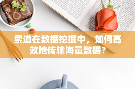 索道在数据挖掘中，如何高效地传输海量数据？