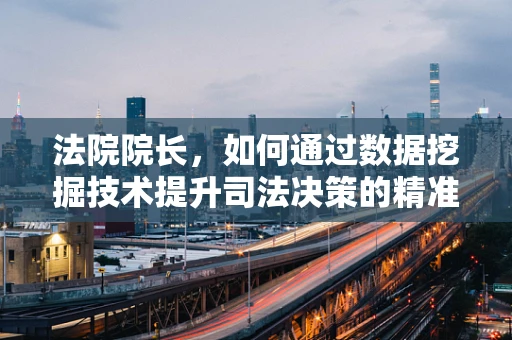 法院院长，如何通过数据挖掘技术提升司法决策的精准度？