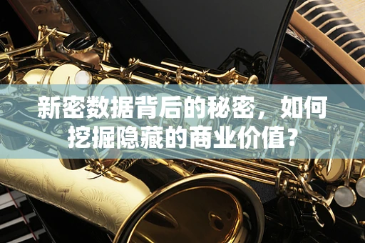 新密数据背后的秘密，如何挖掘隐藏的商业价值？