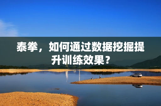 泰拳，如何通过数据挖掘提升训练效果？