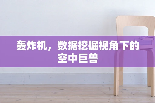 轰炸机，数据挖掘视角下的空中巨兽