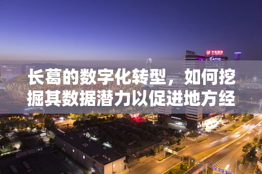 长葛的数字化转型，如何挖掘其数据潜力以促进地方经济发展？