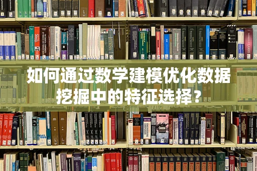如何通过数学建模优化数据挖掘中的特征选择？
