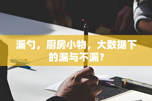 漏勺，厨房小物，大数据下的漏与不漏？