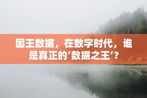 国王数据，在数字时代，谁是真正的‘数据之王’？