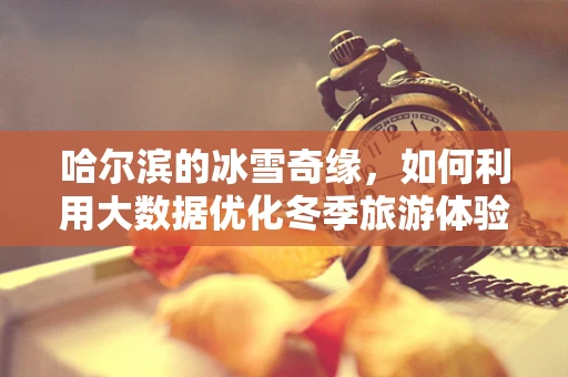 哈尔滨的冰雪奇缘，如何利用大数据优化冬季旅游体验？