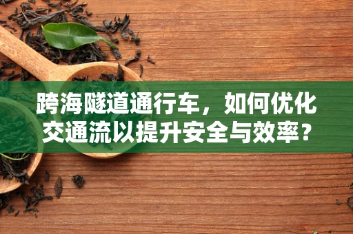 跨海隧道通行车，如何优化交通流以提升安全与效率？