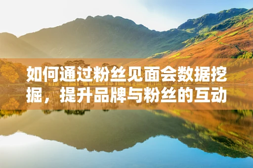 如何通过粉丝见面会数据挖掘，提升品牌与粉丝的互动价值？
