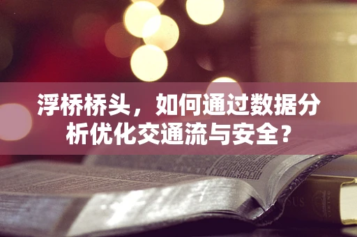 浮桥桥头，如何通过数据分析优化交通流与安全？