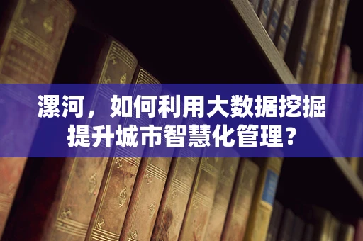漯河，如何利用大数据挖掘提升城市智慧化管理？