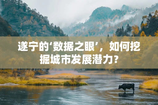 遂宁的‘数据之眼’，如何挖掘城市发展潜力？