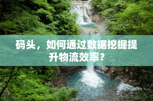 码头，如何通过数据挖掘提升物流效率？