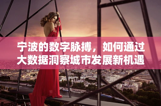 宁波的数字脉搏，如何通过大数据洞察城市发展新机遇？