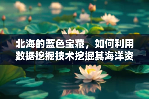 北海的蓝色宝藏，如何利用数据挖掘技术挖掘其海洋资源潜力？