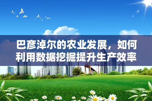 巴彦淖尔的农业发展，如何利用数据挖掘提升生产效率？