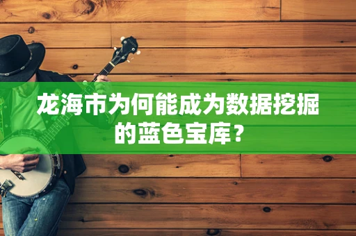 龙海市为何能成为数据挖掘的蓝色宝库？