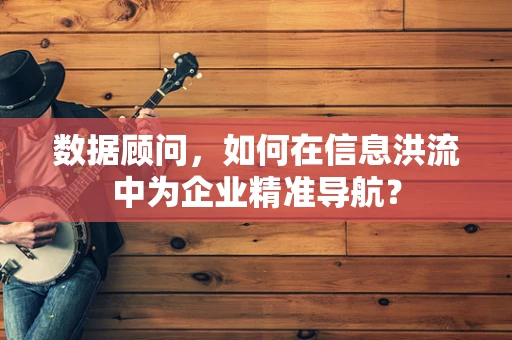 数据顾问，如何在信息洪流中为企业精准导航？