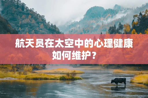 航天员在太空中的心理健康如何维护？