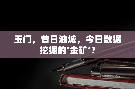 玉门，昔日油城，今日数据挖掘的‘金矿’？