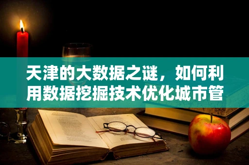 天津的大数据之谜，如何利用数据挖掘技术优化城市管理？