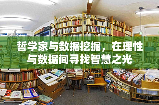 哲学家与数据挖掘，在理性与数据间寻找智慧之光