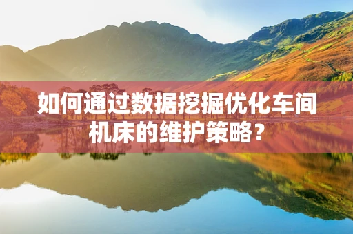 如何通过数据挖掘优化车间机床的维护策略？
