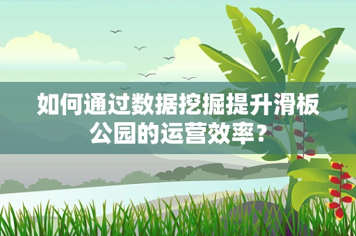 如何通过数据挖掘提升滑板公园的运营效率？