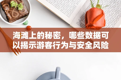 海滩上的秘密，哪些数据可以揭示游客行为与安全风险？