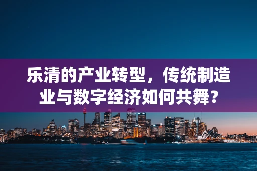 乐清的产业转型，传统制造业与数字经济如何共舞？