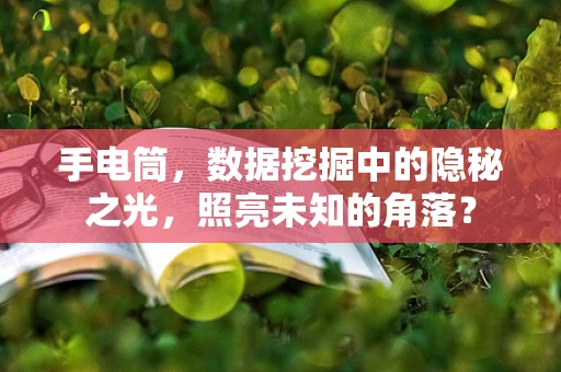 手电筒，数据挖掘中的隐秘之光，照亮未知的角落？