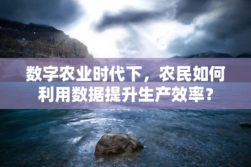 数字农业时代下，农民如何利用数据提升生产效率？