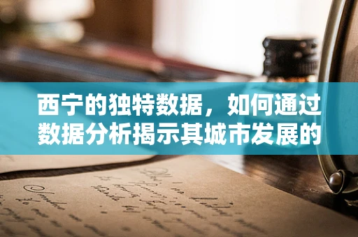 西宁的独特数据，如何通过数据分析揭示其城市发展的秘密？