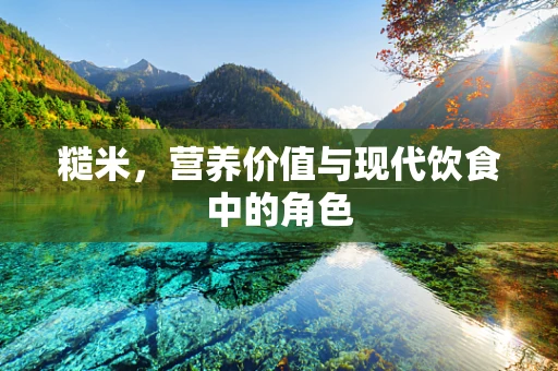 糙米，营养价值与现代饮食中的角色