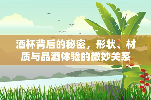 酒杯背后的秘密，形状、材质与品酒体验的微妙关系