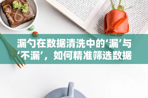 漏勺在数据清洗中的‘漏’与‘不漏’，如何精准筛选数据？