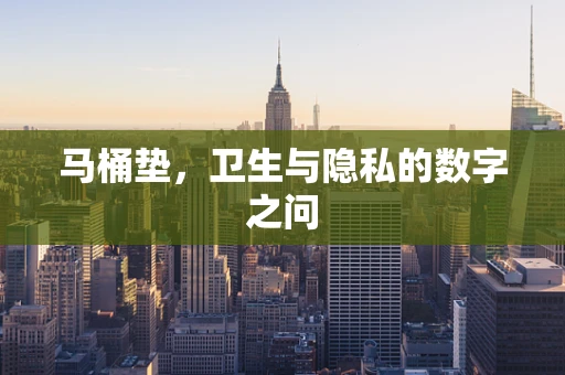 马桶垫，卫生与隐私的数字之问