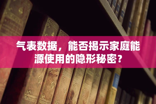气表数据，能否揭示家庭能源使用的隐形秘密？