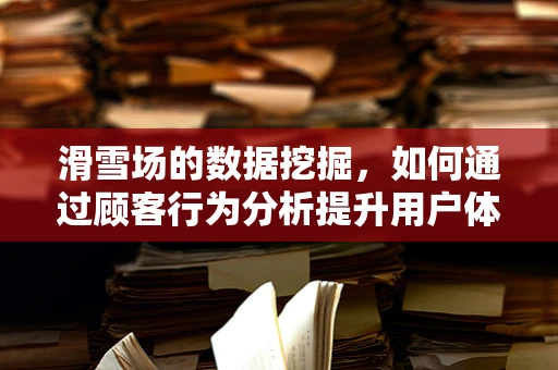 滑雪场的数据挖掘，如何通过顾客行为分析提升用户体验？