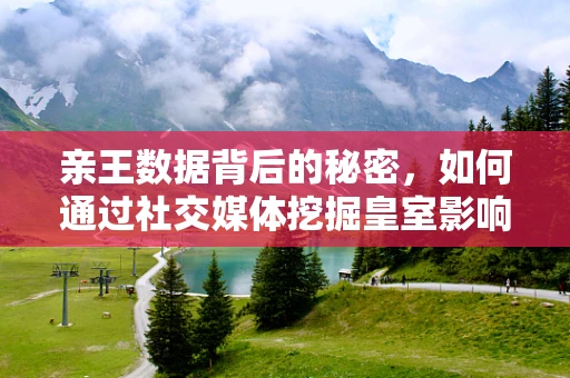 亲王数据背后的秘密，如何通过社交媒体挖掘皇室影响力？