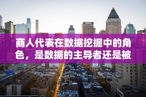 商人代表在数据挖掘中的角色，是数据的主导者还是被动的信息接收者？
