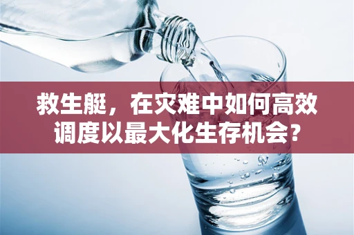 救生艇，在灾难中如何高效调度以最大化生存机会？