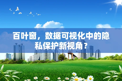 百叶窗，数据可视化中的隐私保护新视角？