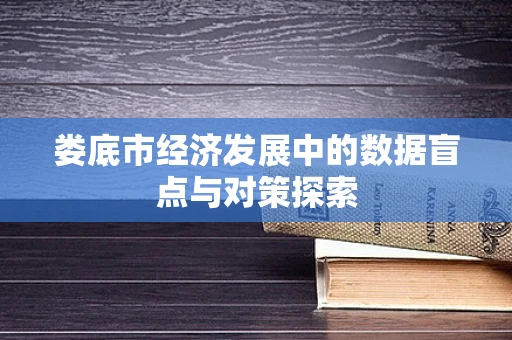 娄底市经济发展中的数据盲点与对策探索
