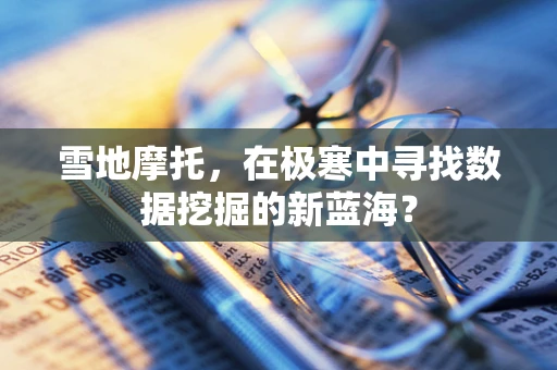 雪地摩托，在极寒中寻找数据挖掘的新蓝海？
