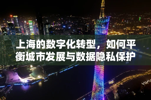 上海的数字化转型，如何平衡城市发展与数据隐私保护？