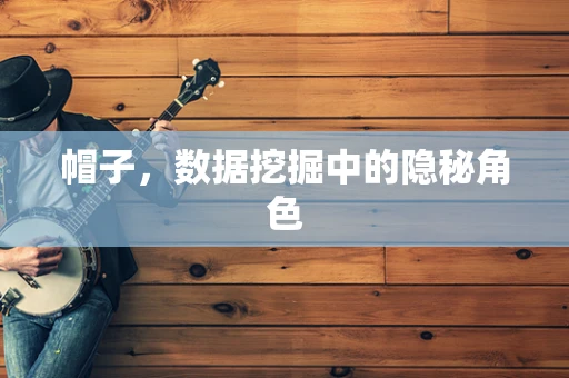 帽子，数据挖掘中的隐秘角色